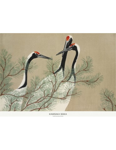 Cranes From Momoyogusa